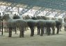Xian Travel highlights Terracotta Army