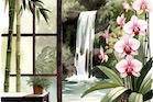 Feng Shui