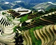 Longsheng Terraced Fields