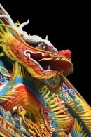 Chinese Dragon