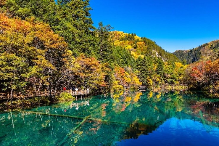 Juizhaigou in Autumn