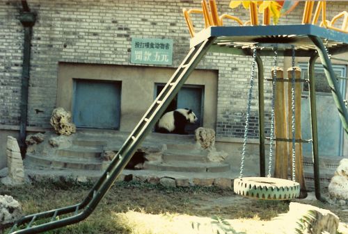 Old China Pictures-Beijing in the 80s