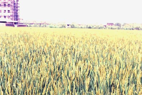 Old Shanghai in pictures - Shanghai in the 80's